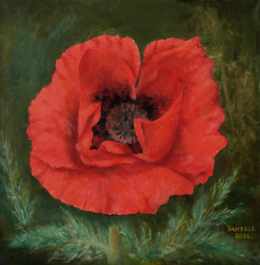 Buczko Imre_Carmen24_50x50cm_olaj_vaszon_2024