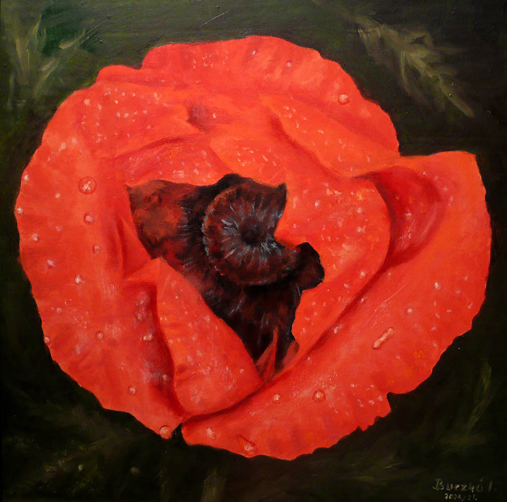 Buczko Imre_Konnyezo Carmen_45x45cm_olaj vaszon
